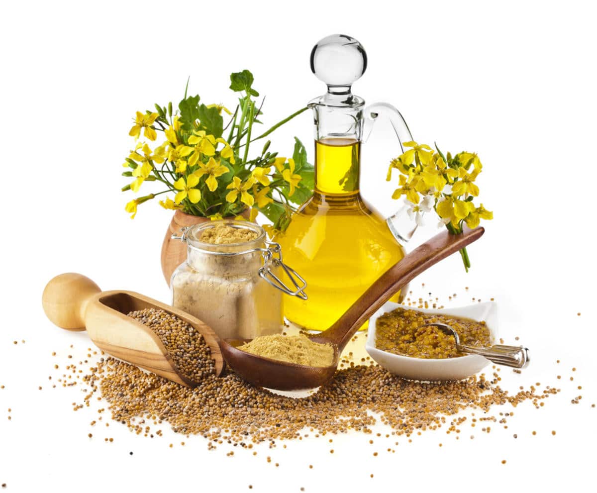 Горчичное масло имеет множество полезных свойств Горчичное масло для волос