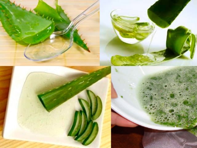 получение сока алоэ